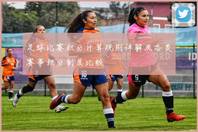 足球比赛积分计算规则详解及各类赛事积分制度比较