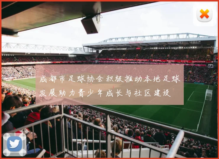 成都市足球协会积极推动本地足球发展助力青少年成长与社区建设