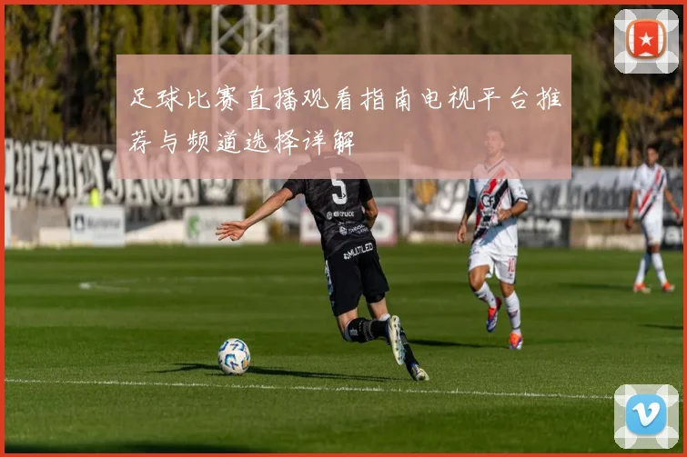 足球比赛直播观看指南电视平台推荐与频道选择详解