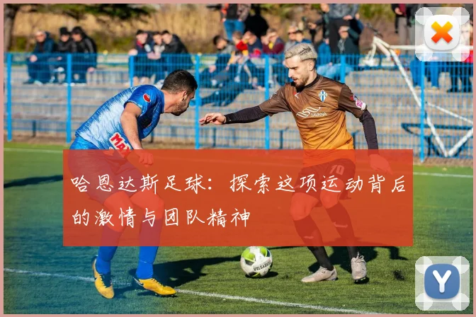 哈恩达斯足球：探索这项运动背后的激情与团队精神