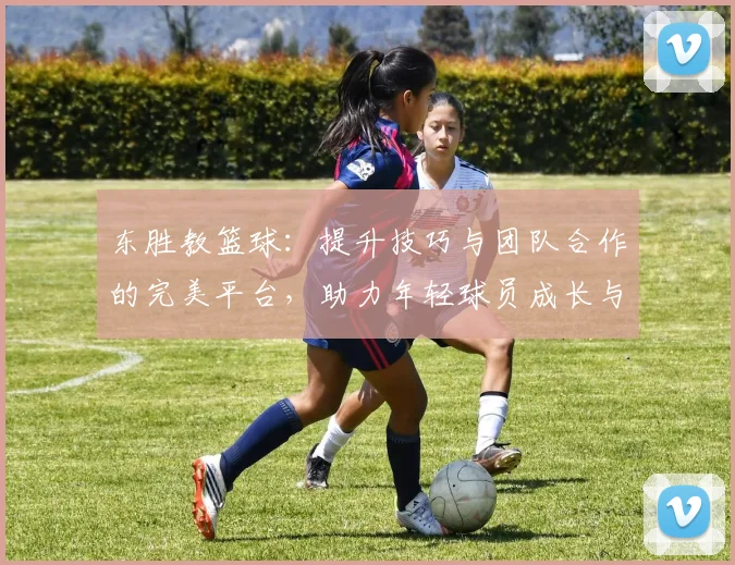 东胜教篮球：提升技巧与团队合作的完美平台，助力年轻球员成长与发展