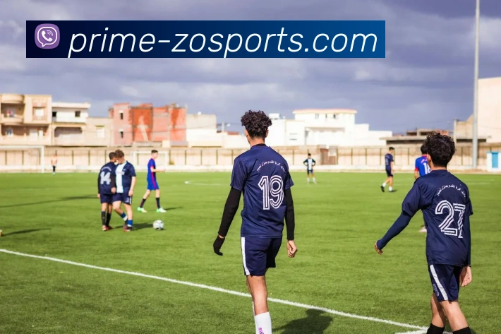 中欧体育平台生态图