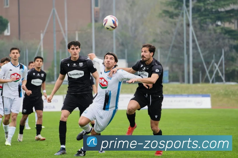 中欧体育全站App